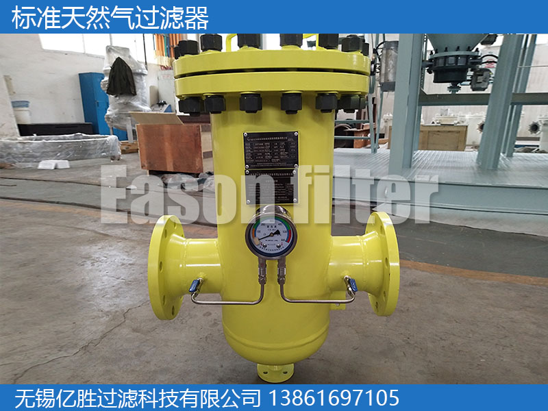 标准天然气过滤器